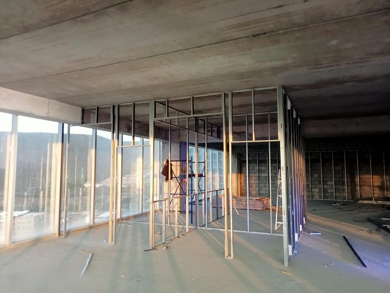 Proyecto 29