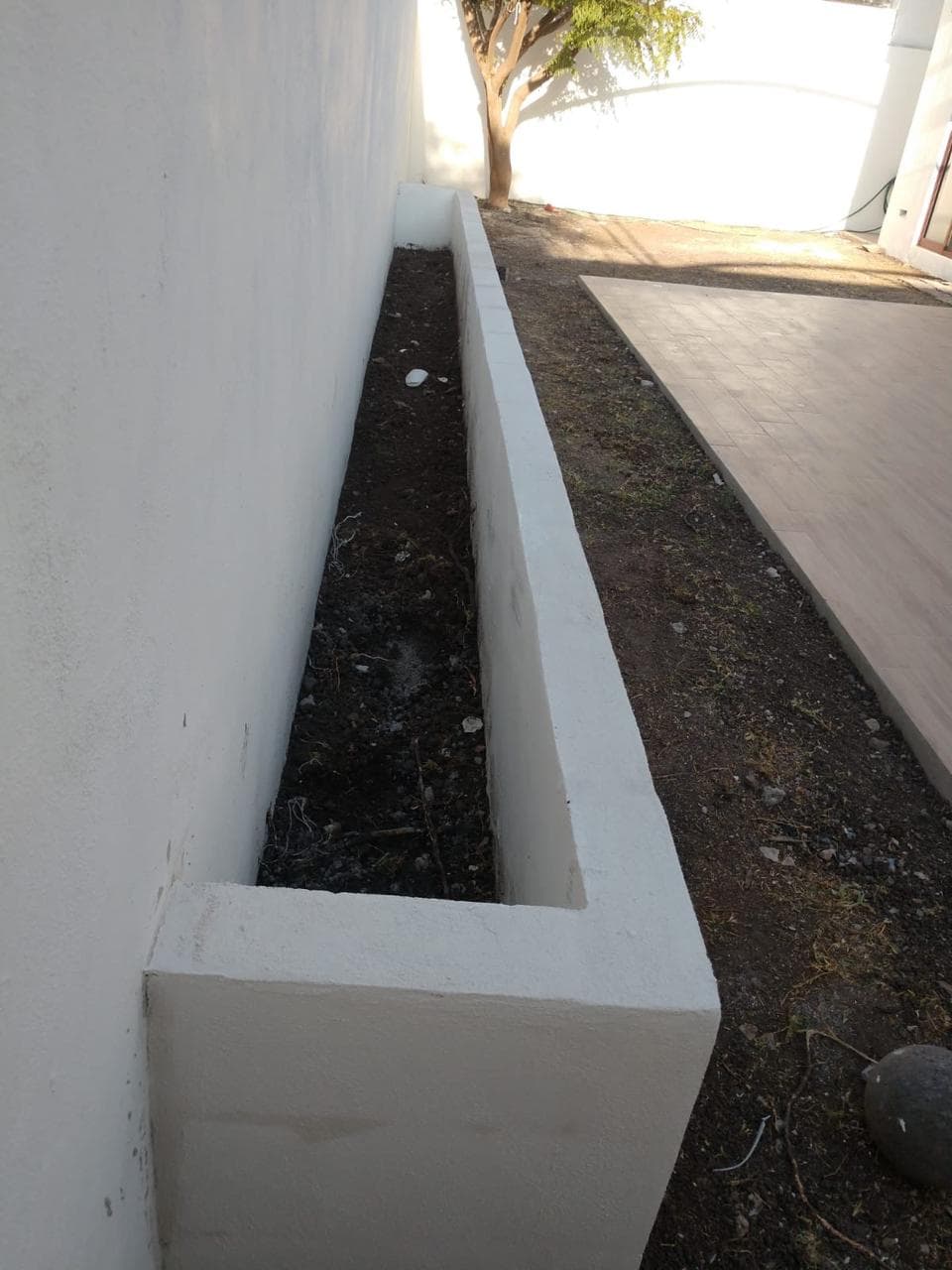 Proyecto 54