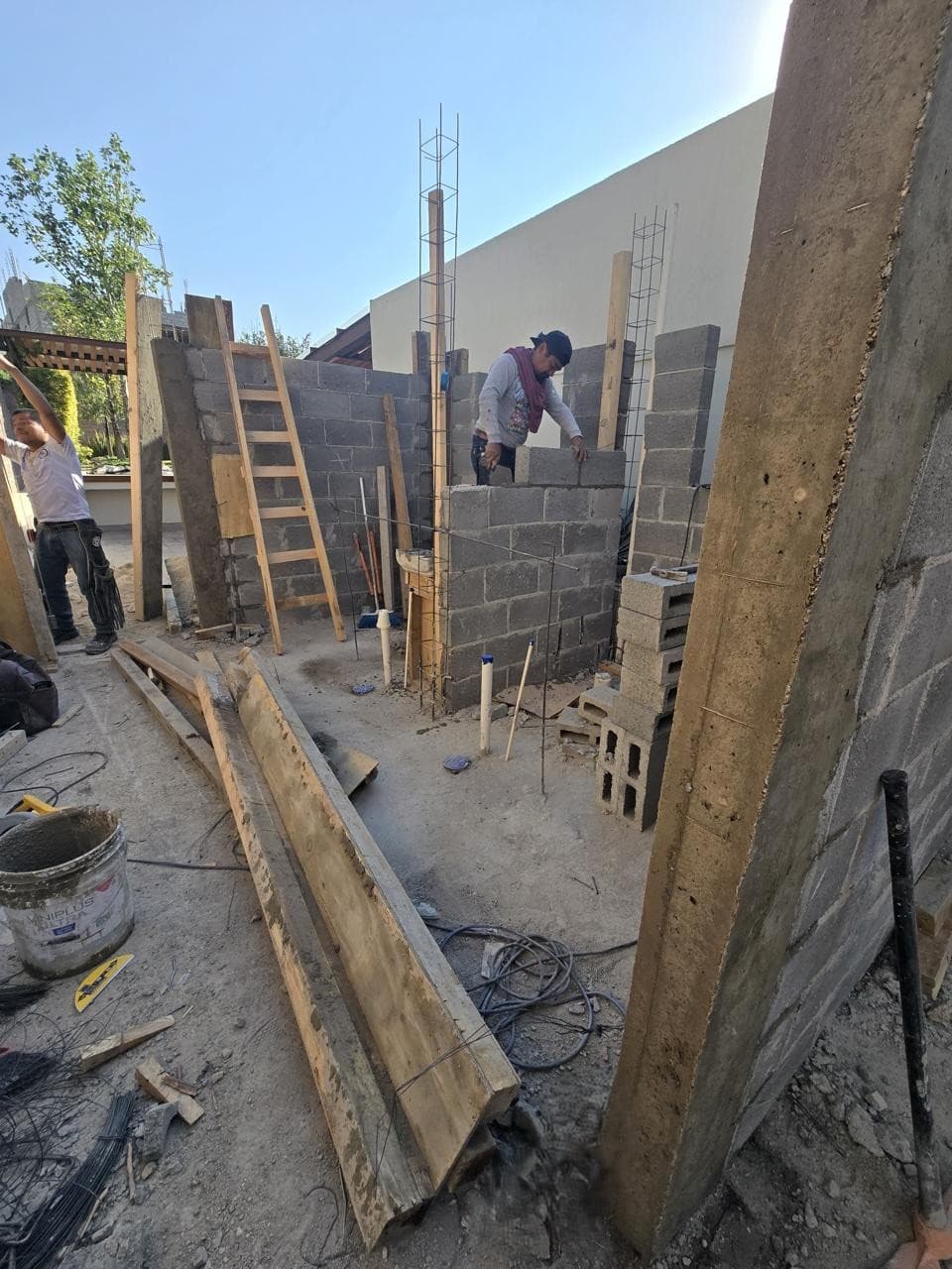 Proyecto 65