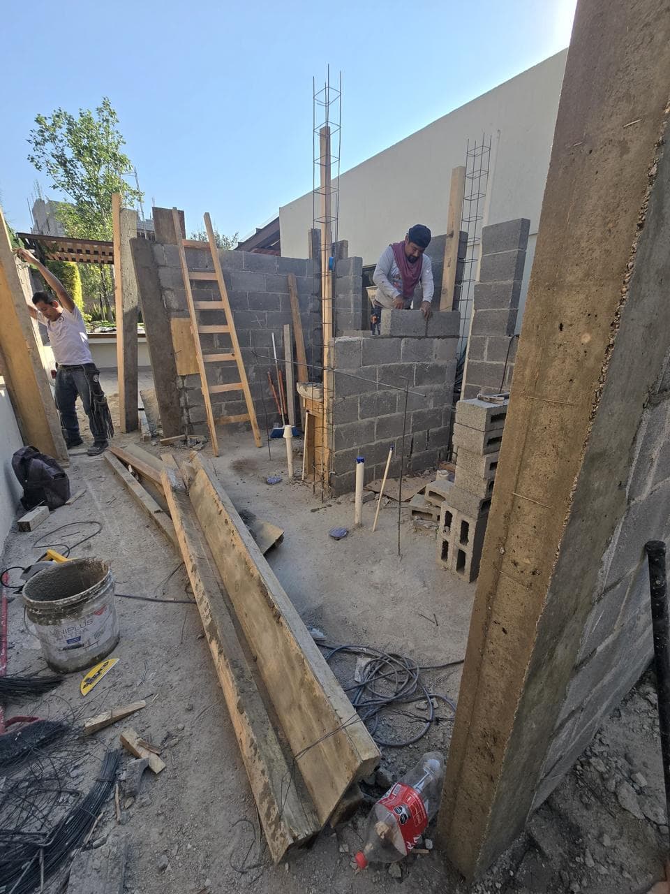 Proyecto 71